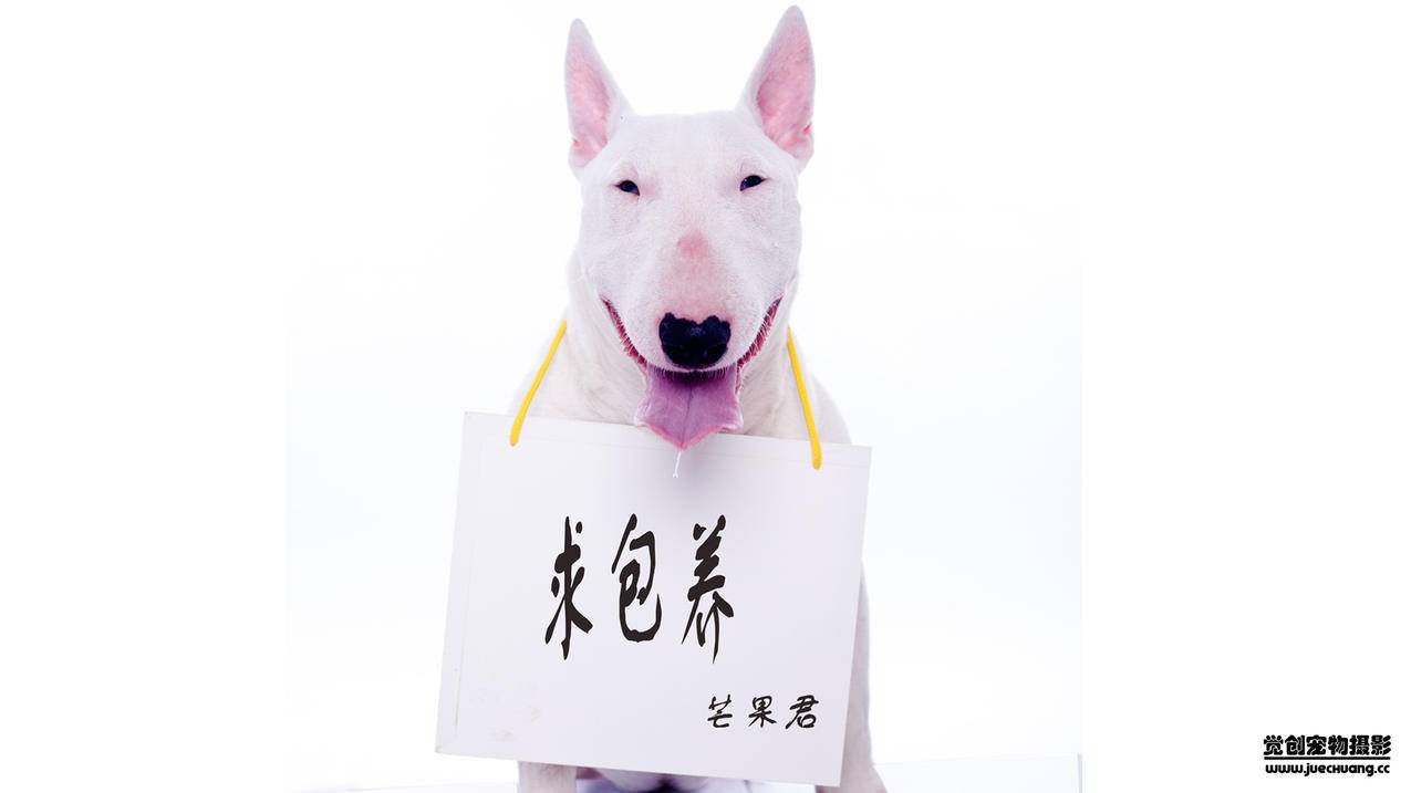 抖音点赞业务24小时在线|快手点赞自助购买平台|抖音低价二十四小时下单平台
